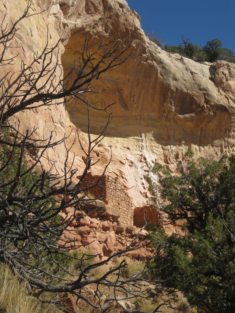 Tall sandstone cliff with a cave holding cliff ruins.