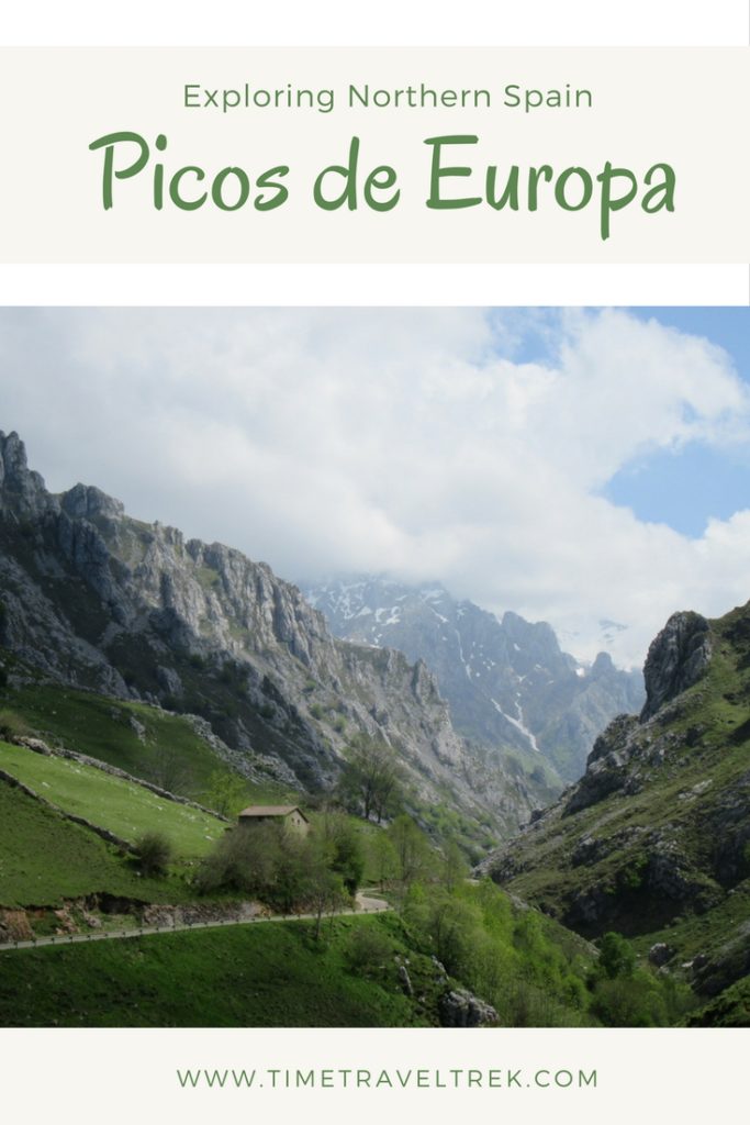 Picos de Europa