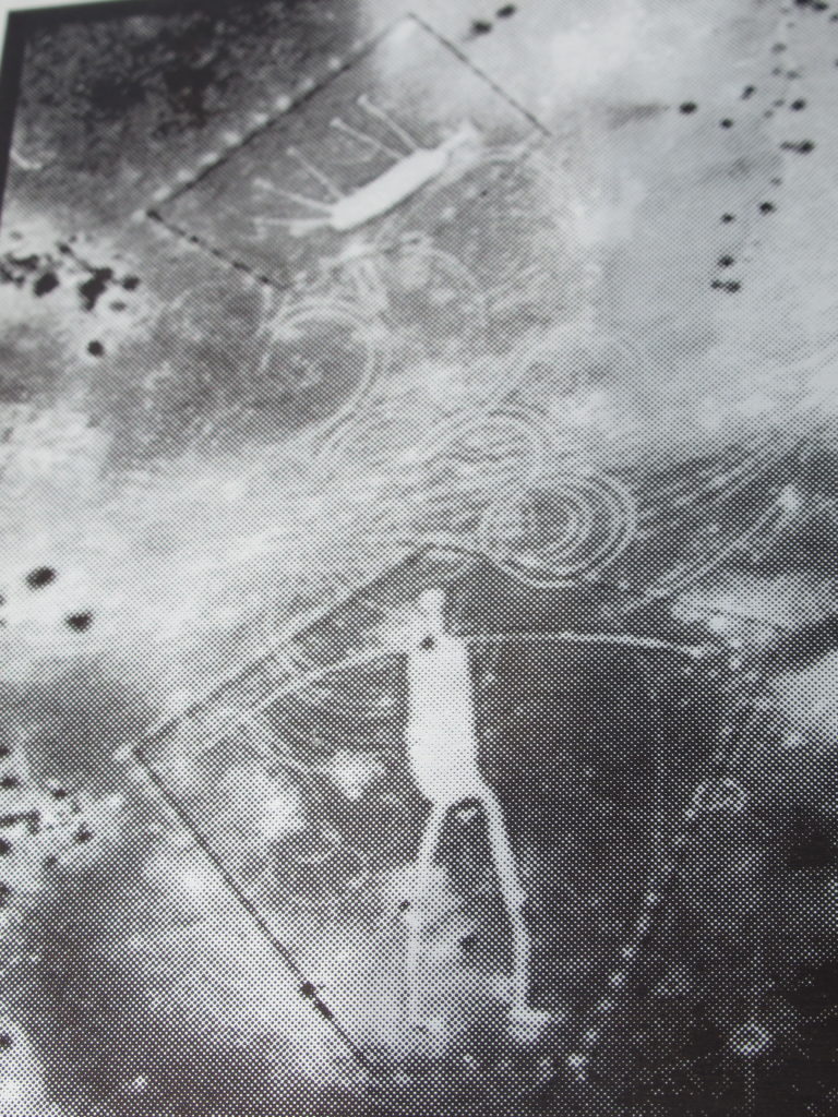 black and white photo of geoglyphs with anthropomorphic and zoomorphic images