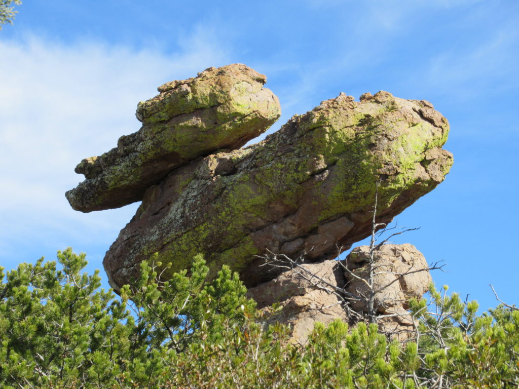 Duck-shaped rock covered in lichen beneath blue sky