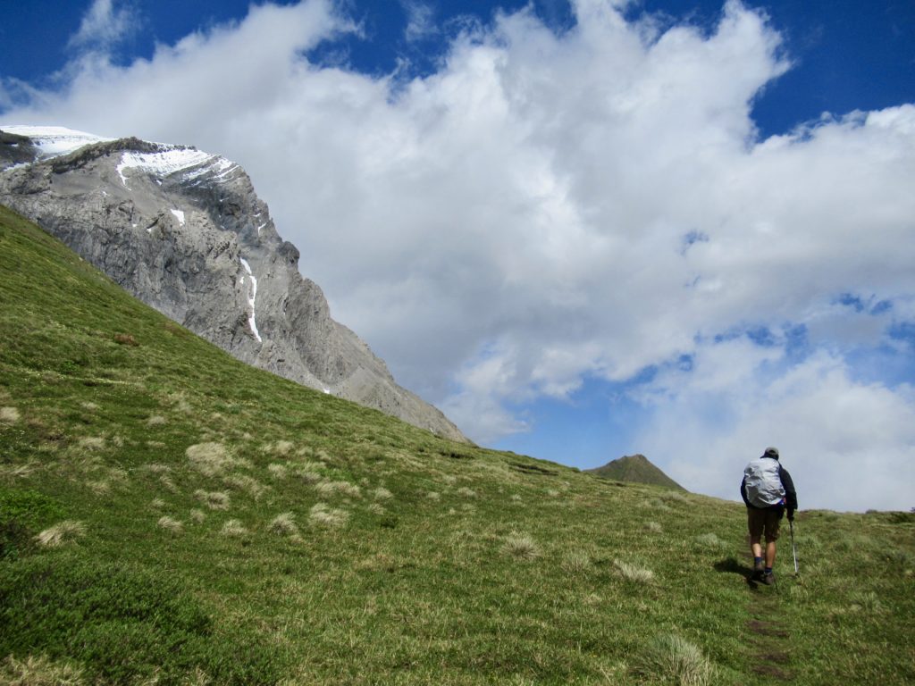Man in shorts with hiking pole and grey backpack climbing up grassy slope to mountain pass