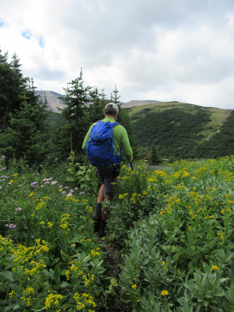 Man with blue backpack hiking through thick vegetation.