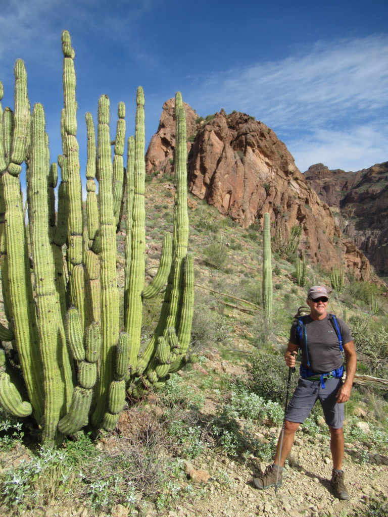 Hiker standing beside large cactus on hillside below rocky outcrop.