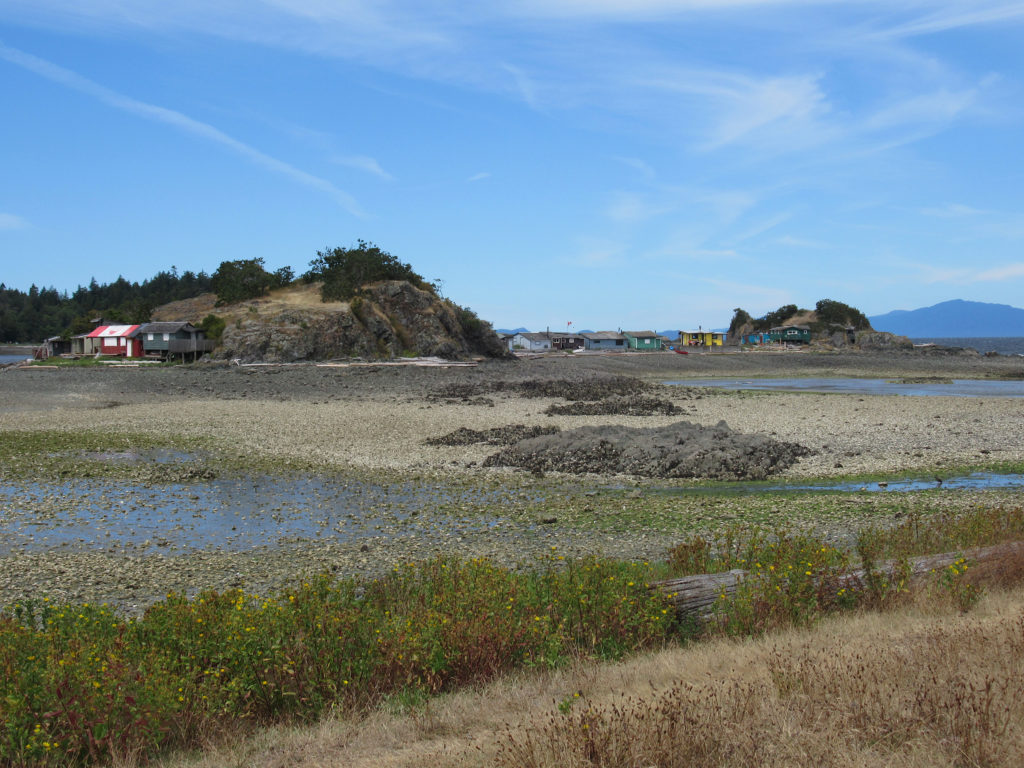 West Coast beach scene with small island separated from grassy area in foreground by sand.