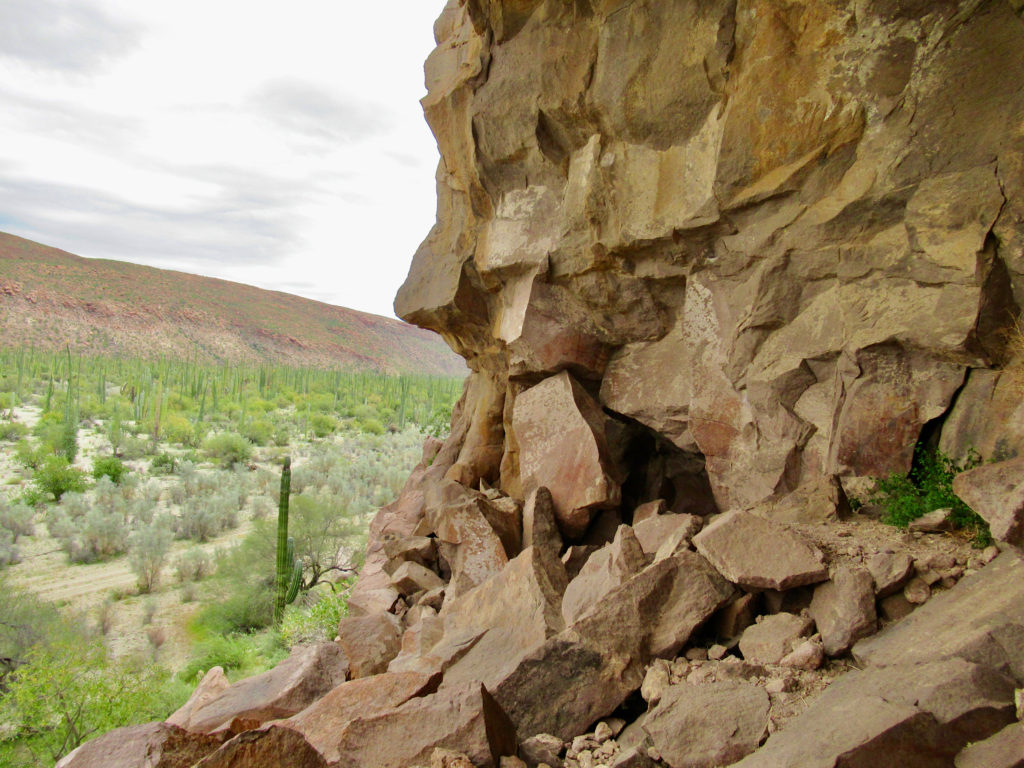 Rock wall with rock art above desert.