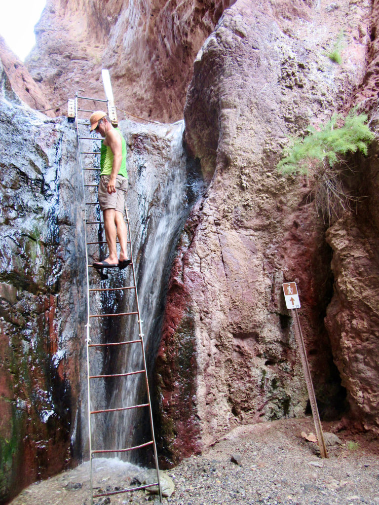 Man in green shirt, grey shorts and orange ball cap standing on metal ladder propped up against rock in middle of small waterfall in red rock canyon.