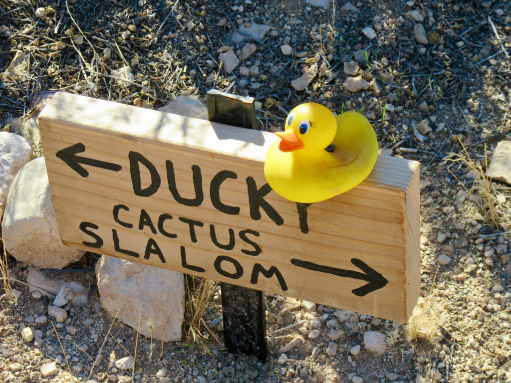 Wooden trail sign with yellow plastic ducky on top. Sign reads "Ducky" with arrow pointing left and "Cactus Slalom" with area pointing right.