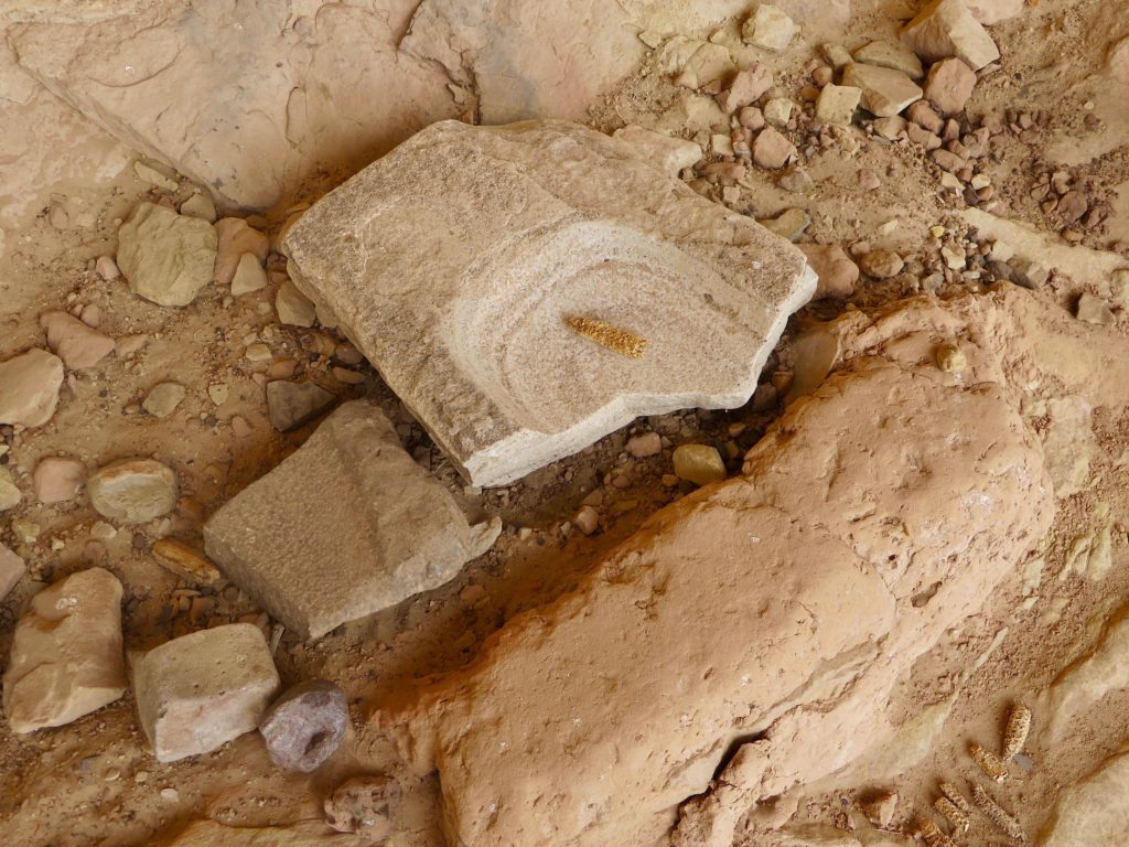 Broken stone worn down in the centre with a dried corn cob in middle.