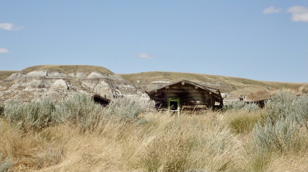 Old log cabins surrounded by grass and sagebrush under blue sky.