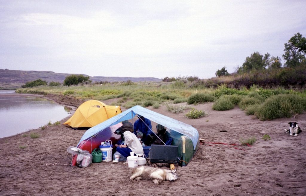 Blue tarp stretched over two canoes and raised in middle with people underneath and two dogs laying our on sand.