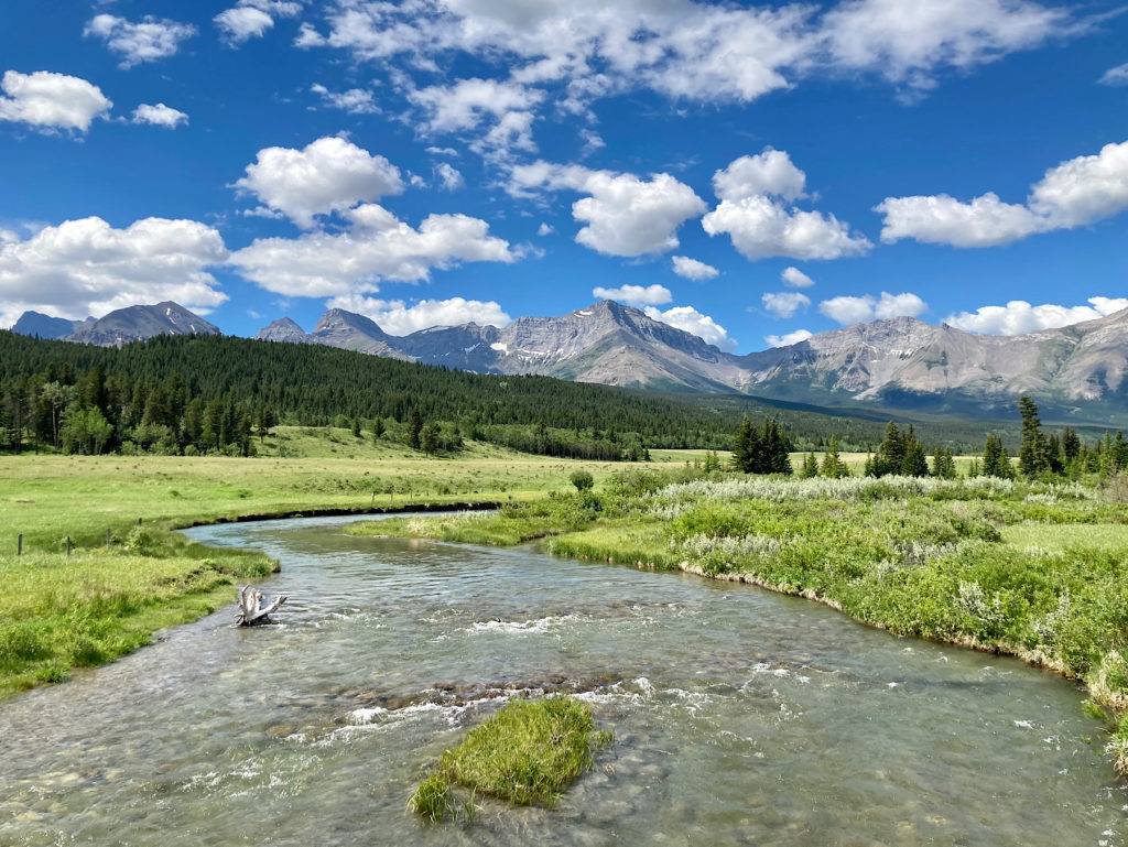 Small river running through flat green valley with dark evergreen trees and tall mountains in distance.