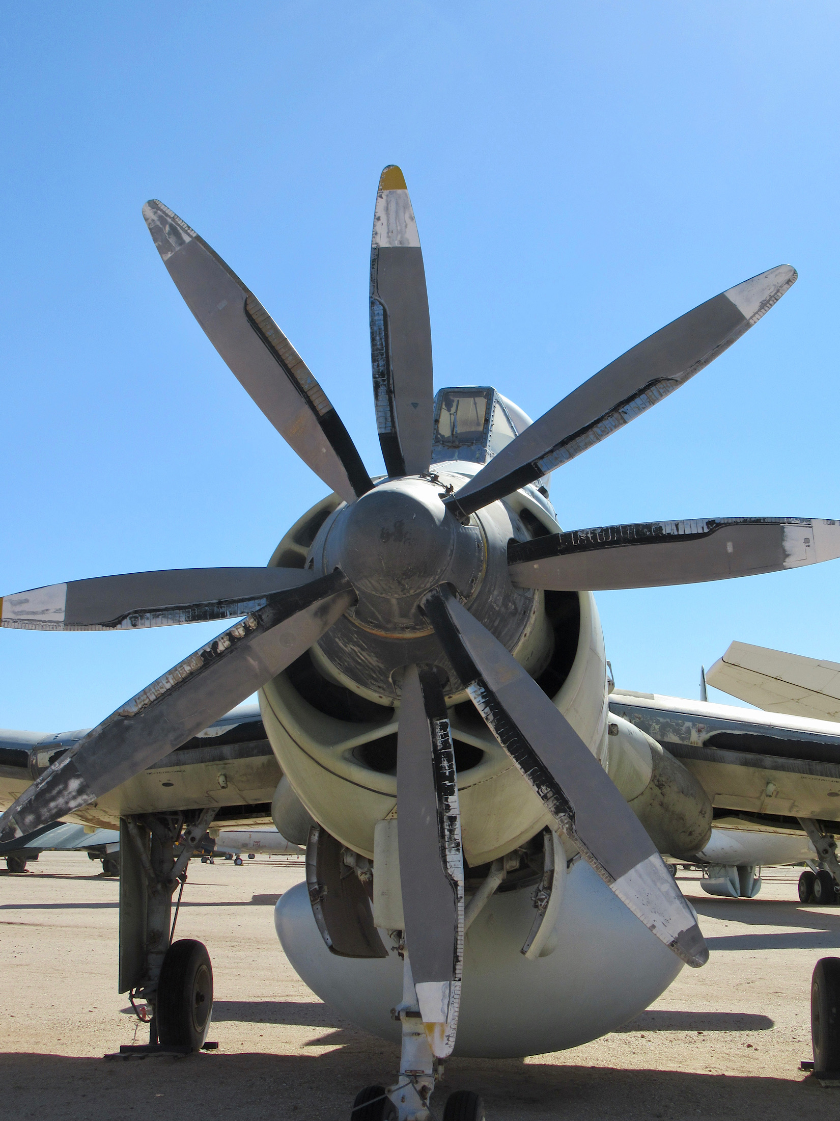 Starburst arrangement of multi-blade prop on aircraft engine.