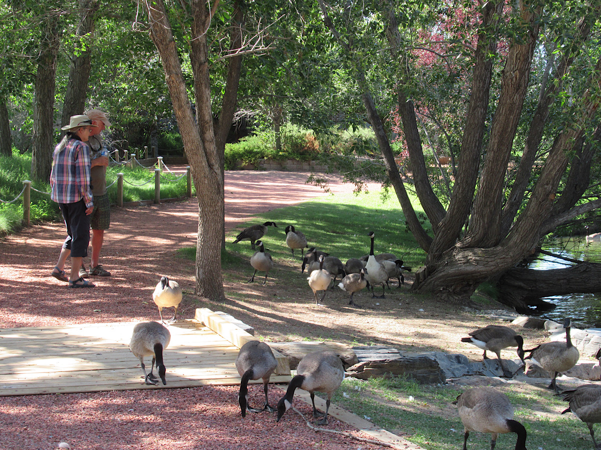 Southern Alberta Adventures: Discovering the Birds of Prey Centre -  Time.Travel.Trek.