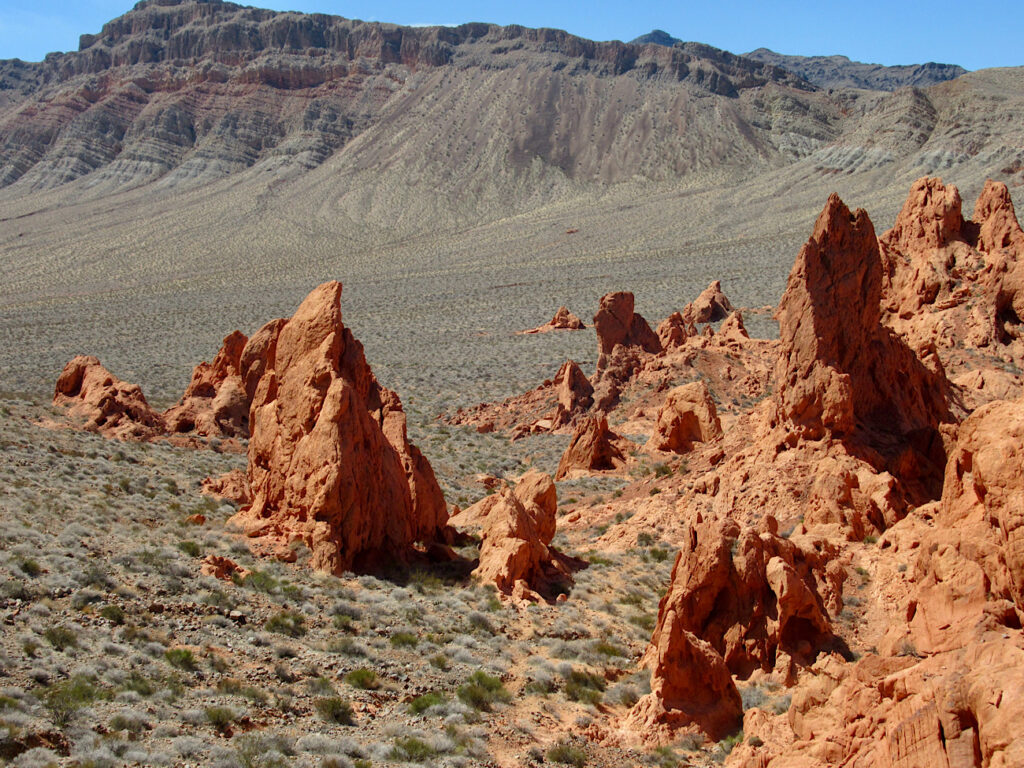 Rad pinnacles of rock jutting out of sage green desert environment.