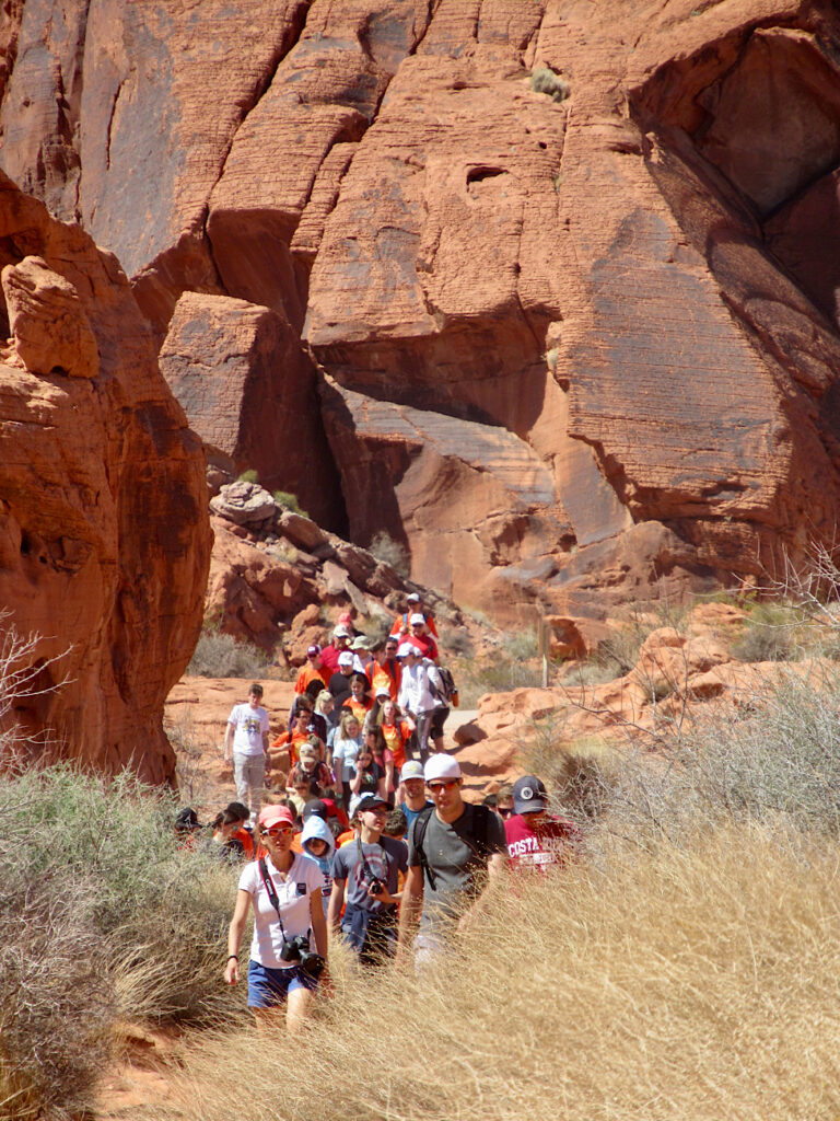 Crowd of people walking on trail with red rock cliffs in background and dry bushes and grass in foreground - it's not the solitude one finds on Valley of Fire Prospect Trail!