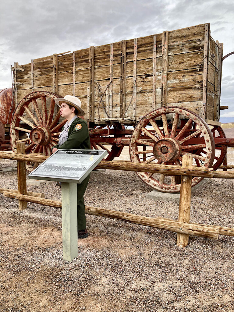 Park ranger in uniform standing beside interpretive sign in front of large wooden wagon with red wheels.