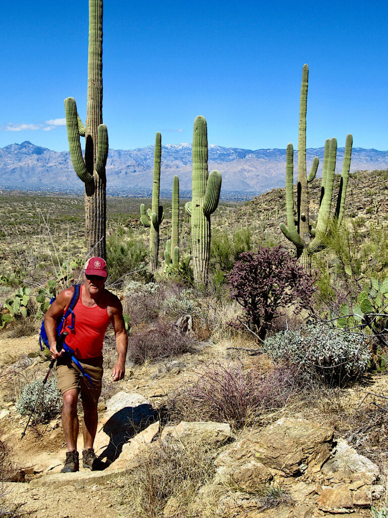 Man in red shirt, shorts and ball cap carrying a backpack hiking up rocky trail with saguaro cactus in background under blue sky.