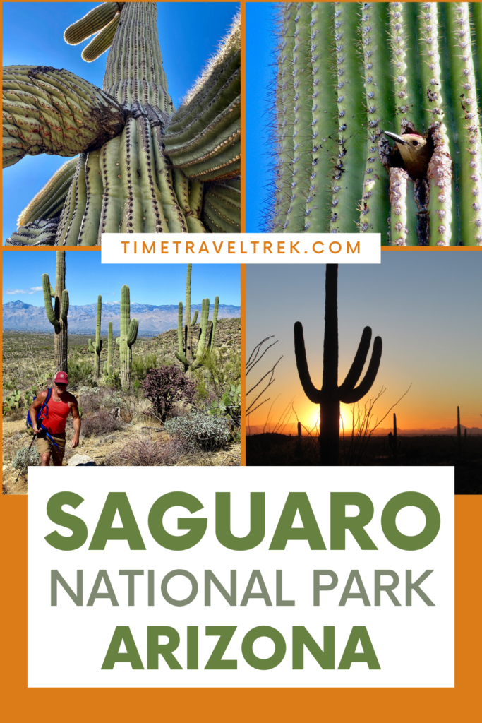 Pin image for Time.Travel.Trek. post re: Saguaro National Park. Four image of saguaro cactus closeup; woodpecker in saguaro hole; man hiking in saguaro forest; and silhouette of saguaro at sunset.