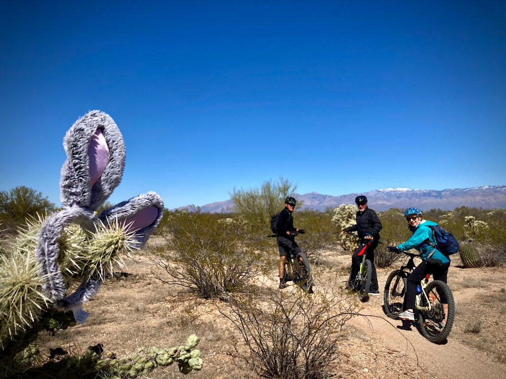 Two men and a women standing over bikes looking back at camera on right and a cholla cactus with a pair of plush purple bunny ears on left.