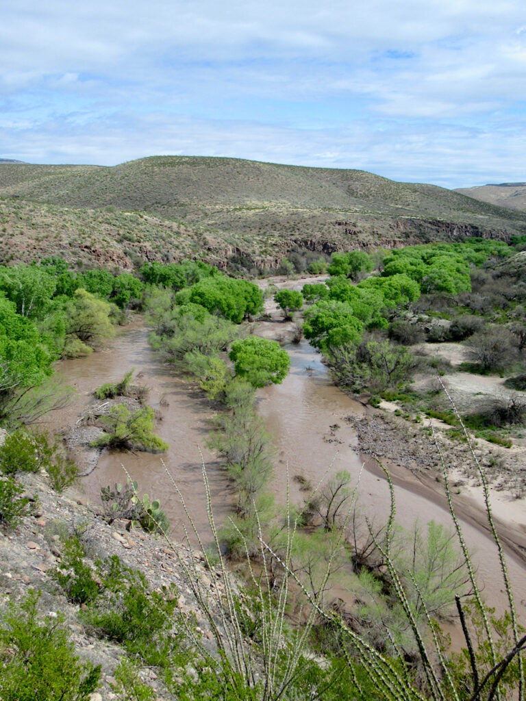 View of brown creek and green vegetation under blue sky.