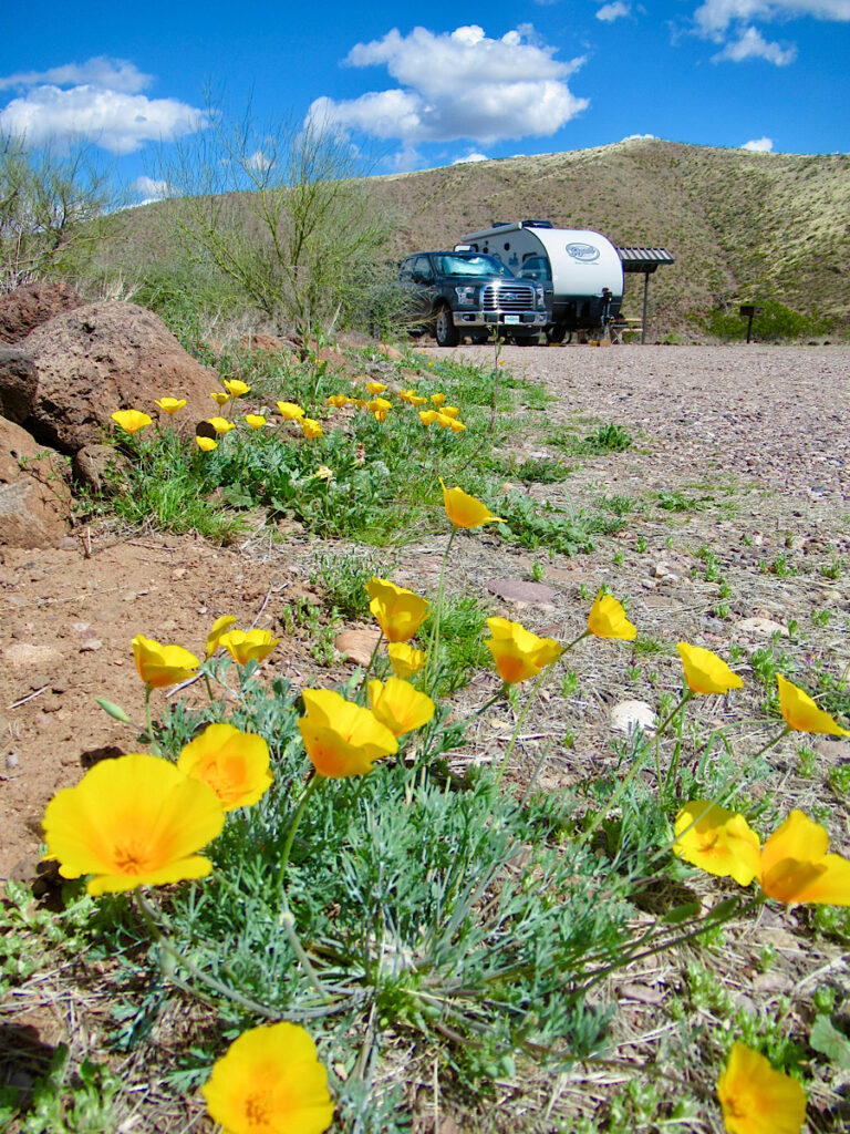 Truck and travel travel in background with bright yellow/orange poppies in foreground.