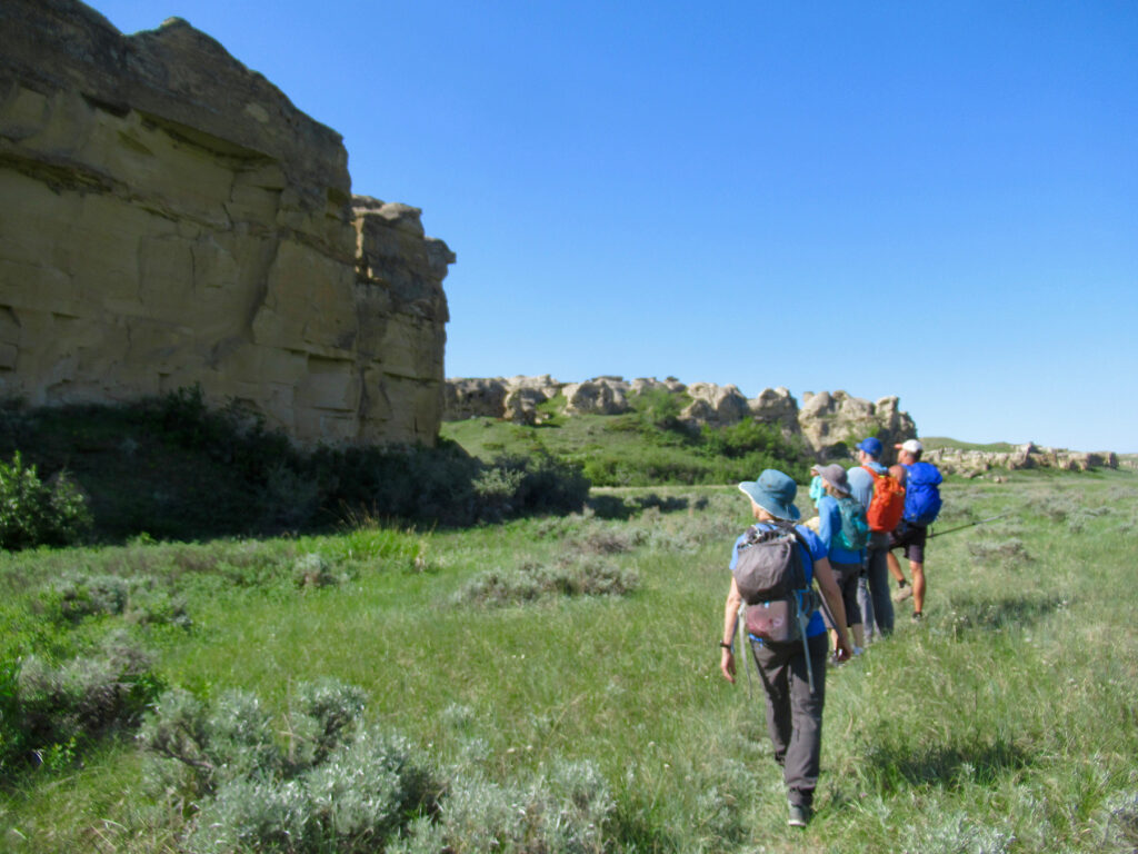 Two men and two woman with daypacks hiking along green grassy terrace with butf-coloured sandstone cliffs on left.