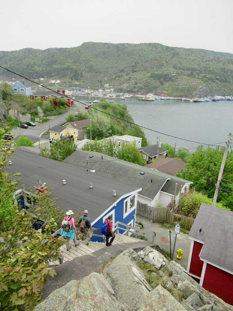 Three people walking down wooden staircase between brightly coloured houses overlooking a harbour.