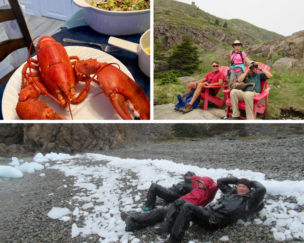 Three images including a cooked red lobster on a plate, three hikers posed on and near red National Park adirondack chairs, and three people on beach littered with pieces of ice.