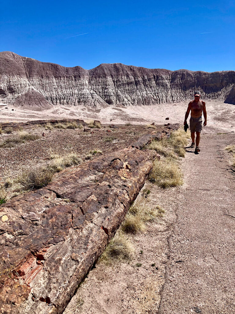 Man walking on paved path next to long petrified log beneath must-coloured cliffs under blue sky.