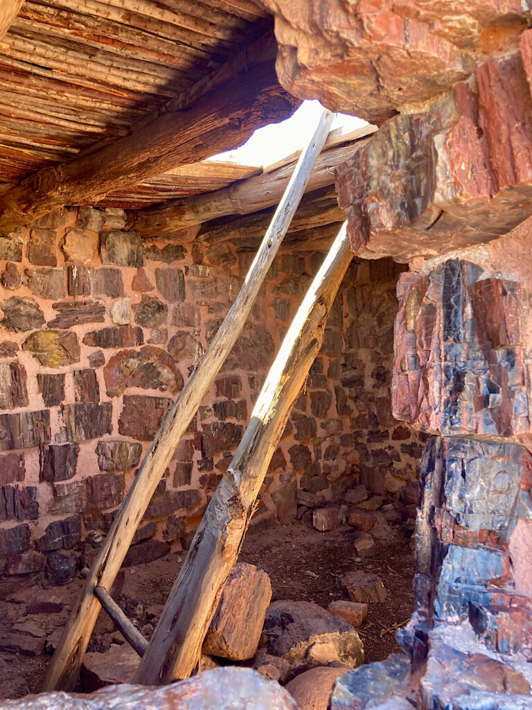 Wooden ladder upright against a hold in roof of building made from chunks of petrified wood. Roof made from thin pieces of wood laid on large roof timbers.