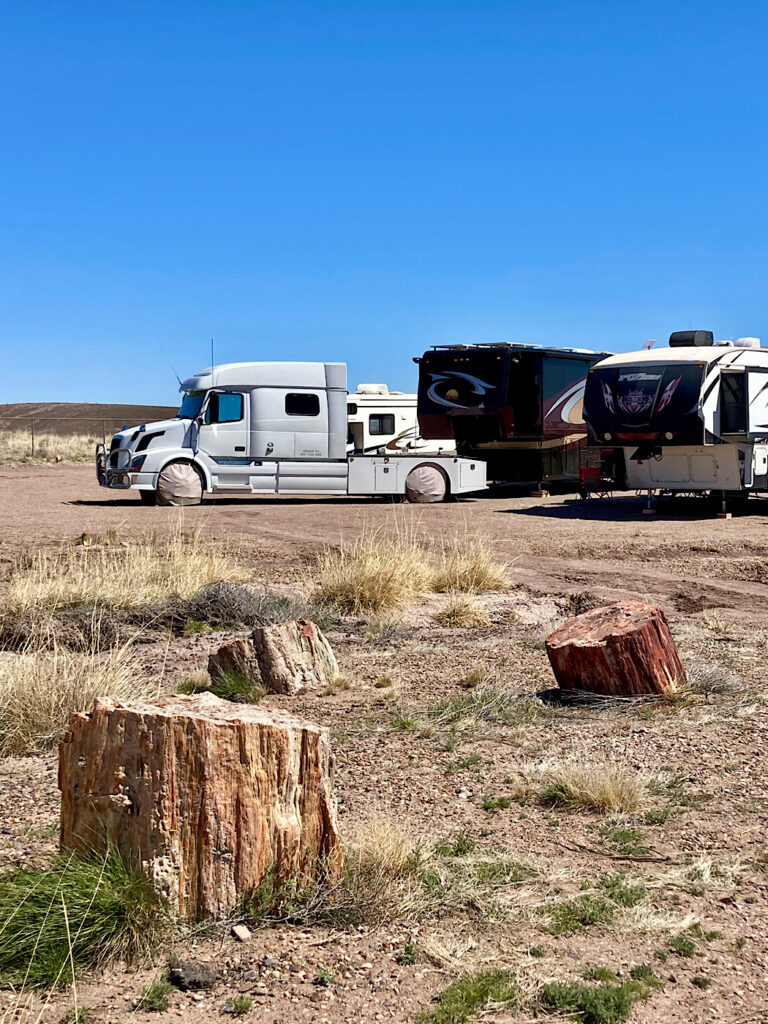 Large white, camperized semi truck parked in front of large trailer. Three petrified wood stumps in foreground.