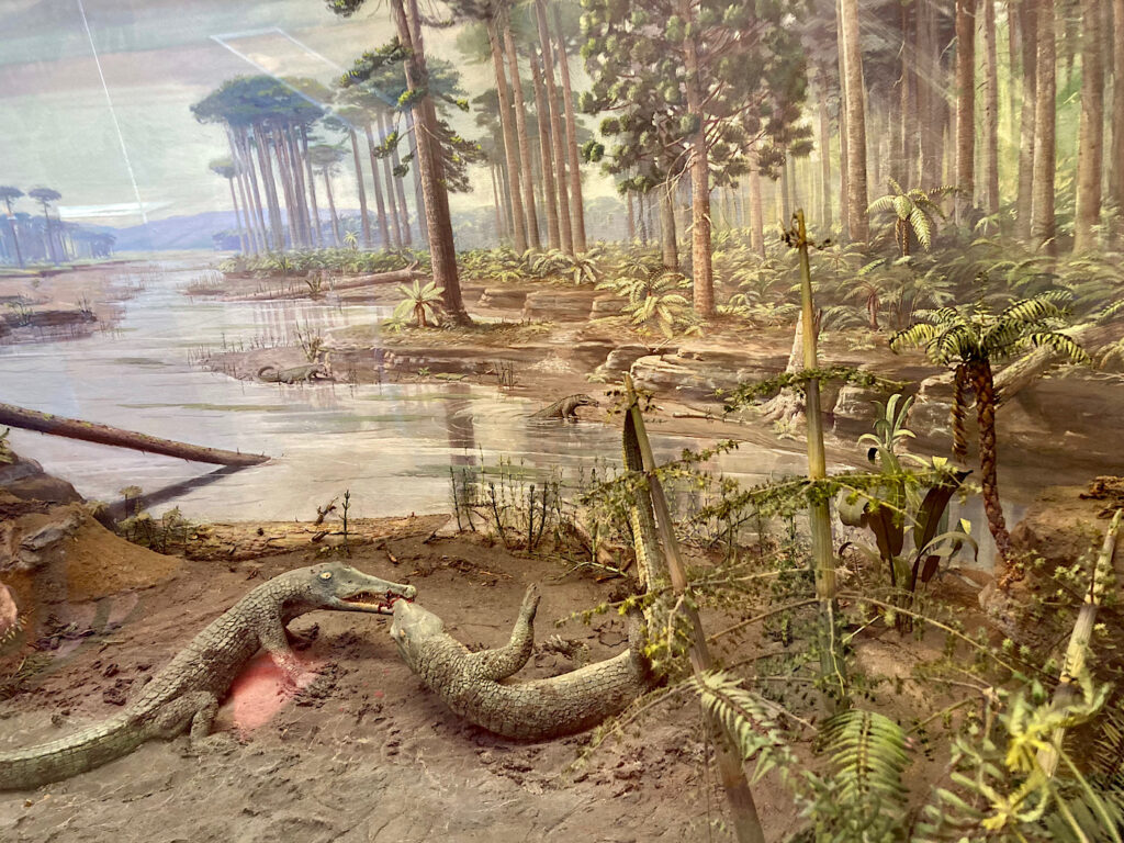 Drawing of prehistoric swamp with tall trees and reptiles on the edge of a river painted in greens, grass and browns.