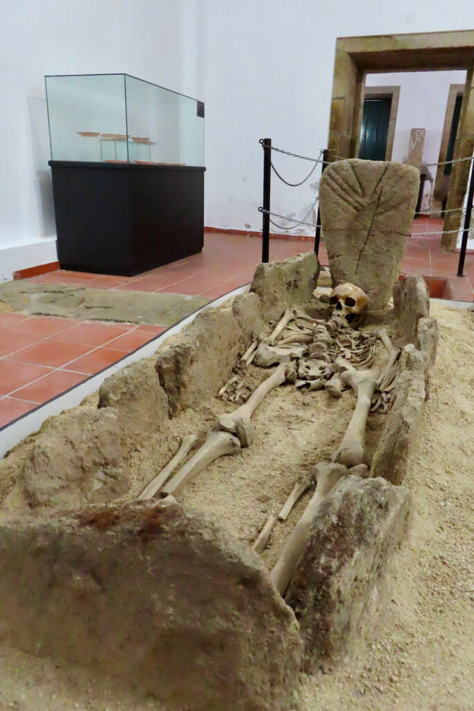 Skeleton displayed in a stone-lined grave inside a museum room