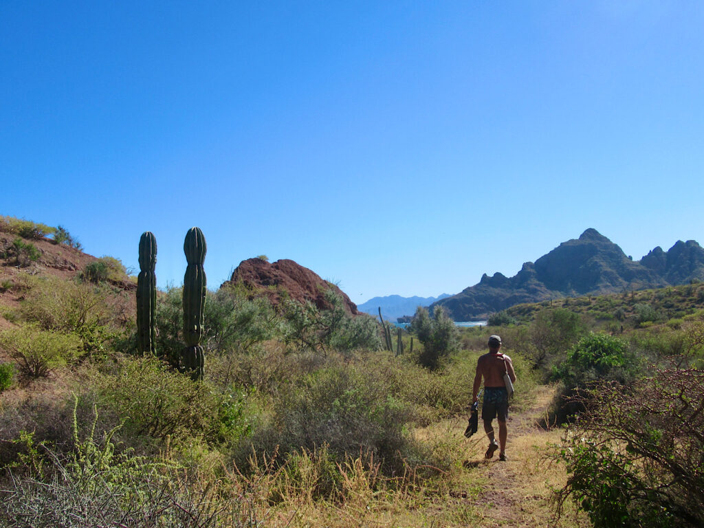 Man hiking in shorts through desert with distant view of peaks and water.