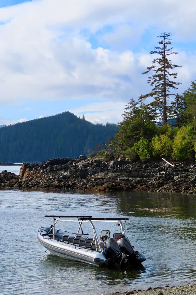 Large covered zodiac moored in a bay with distant mountain and tall trees in background.