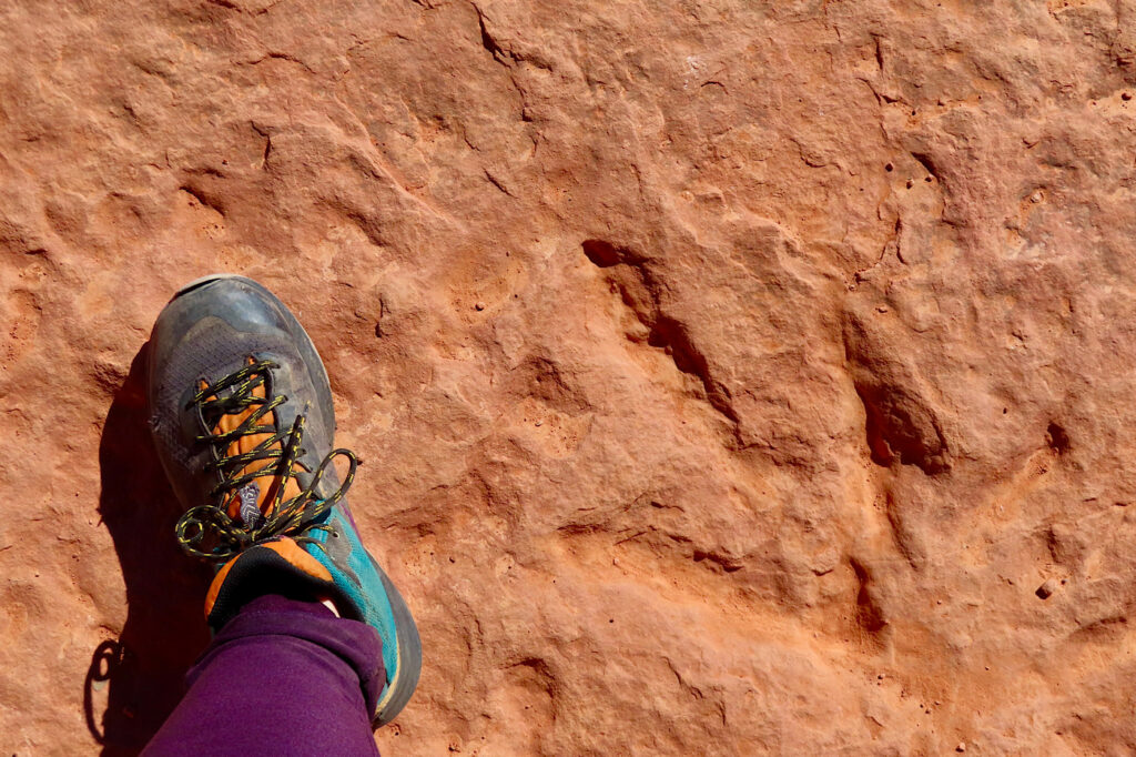 Woman's foot in a hiking boot beside a large fossilized dinosaur print.