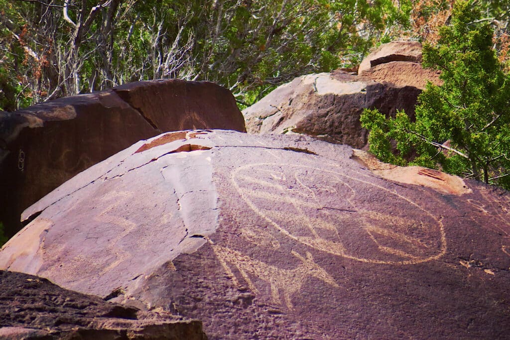 Precisely inscribed rock art on large boulder.