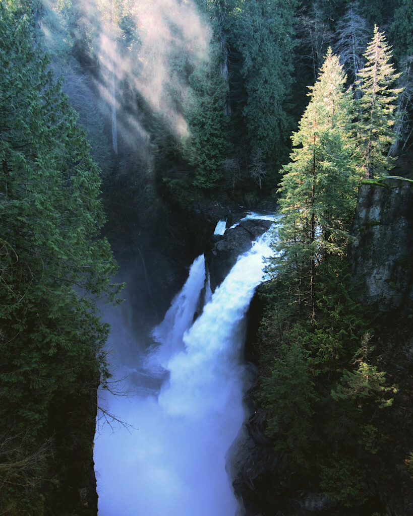 Waterfall in thick forested area.