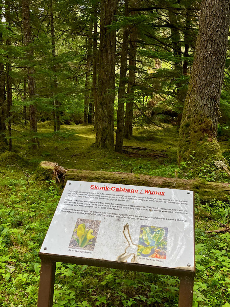 Interpretive sign in front of thick forest.