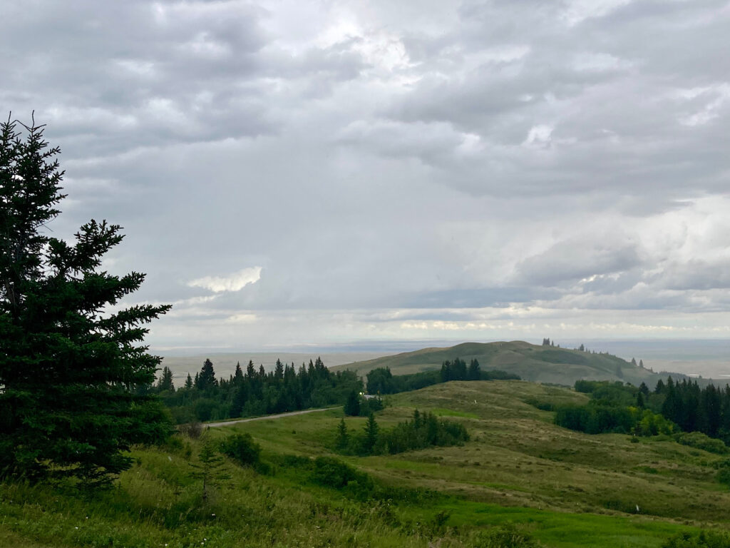 Rolling green hills under overcast sky.