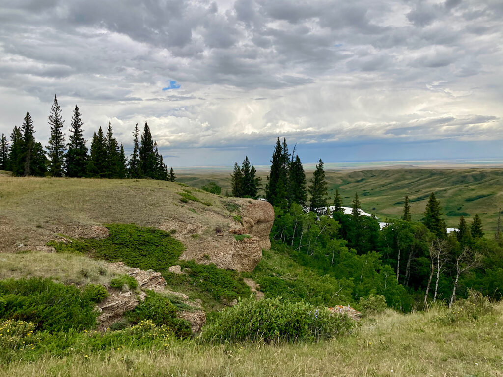 Grassy hills and trees under partly cloudy sky.