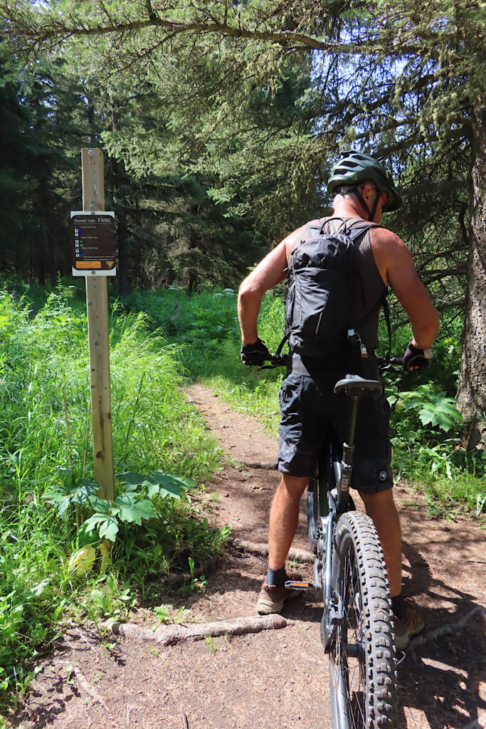 Man on mountain bike on rooty trail