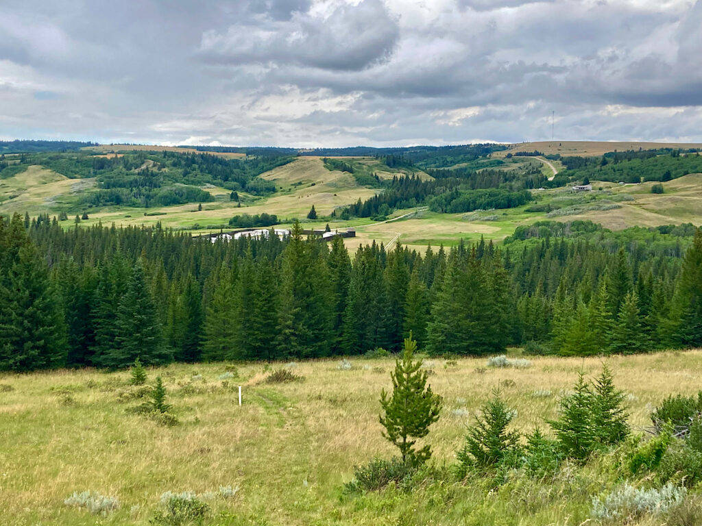 Rolling grassland and scattered trees with log structure in distance.