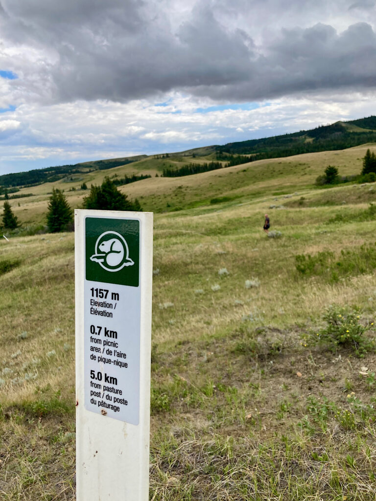White trail marker in front on grassy slop with faint image of hiker in distance.