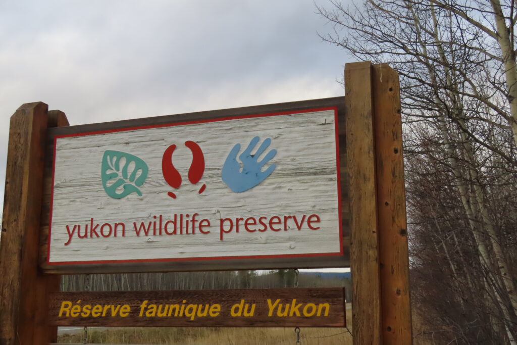 Large wooden sign with words: Yukon Wildlife Preserve (Reserve faunique du Yukon)