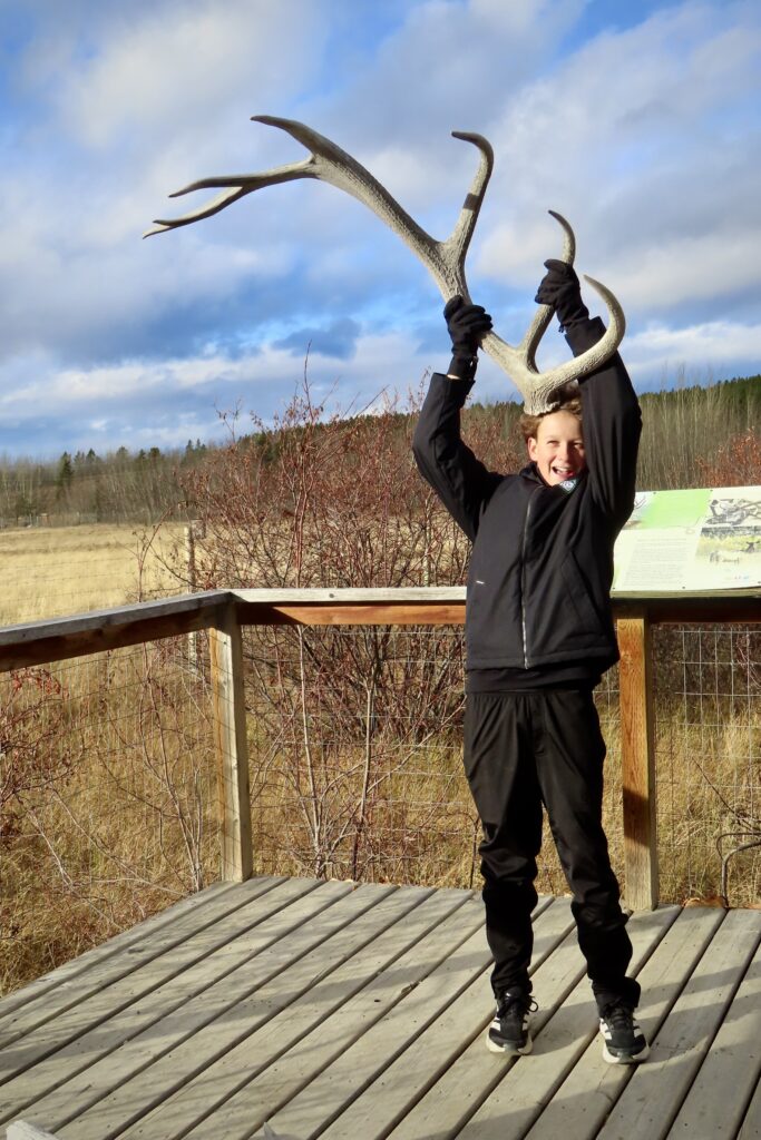 Boy dressed in black pants and coat holding elk antler by his head.