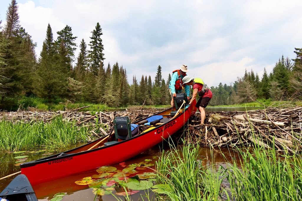 Man and woman manouevering red canoe over beaver dam.