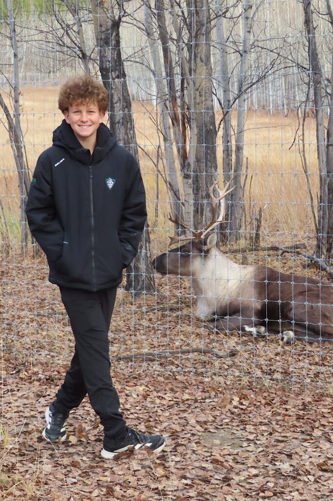 Boy dressed in black coat and pants walking outside a fence with caribou lying beside a tree on the other side.