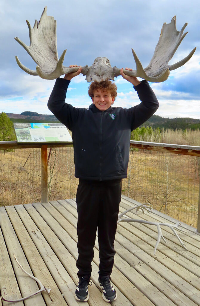 Boy dressed in black pants and coat holding a pair of moose antlers by his head.