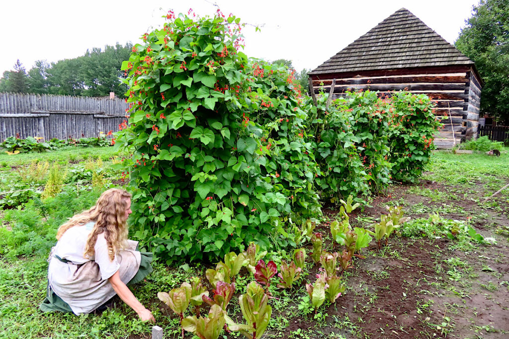 Woman weeding garden.
